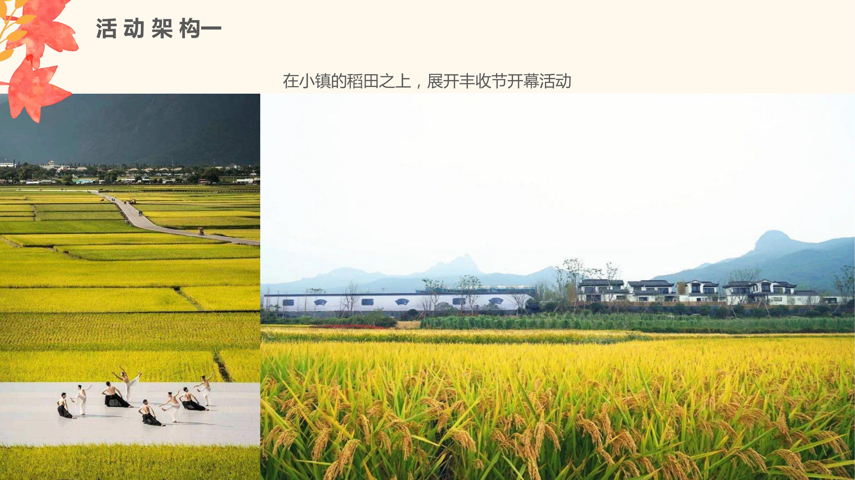 某地产稻田丰收节