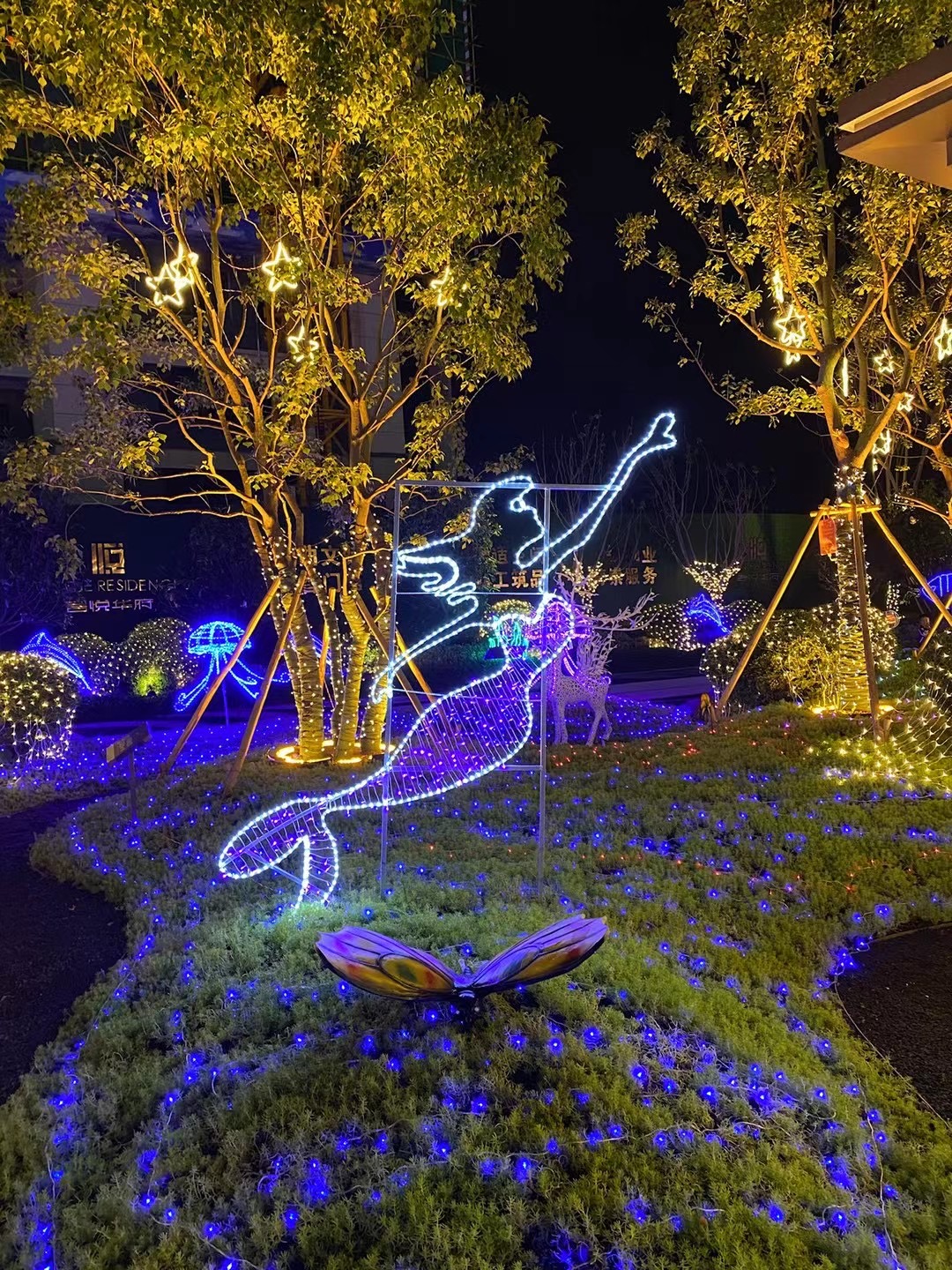 灯光亮化项目