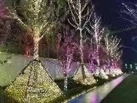 灯光亮化项目