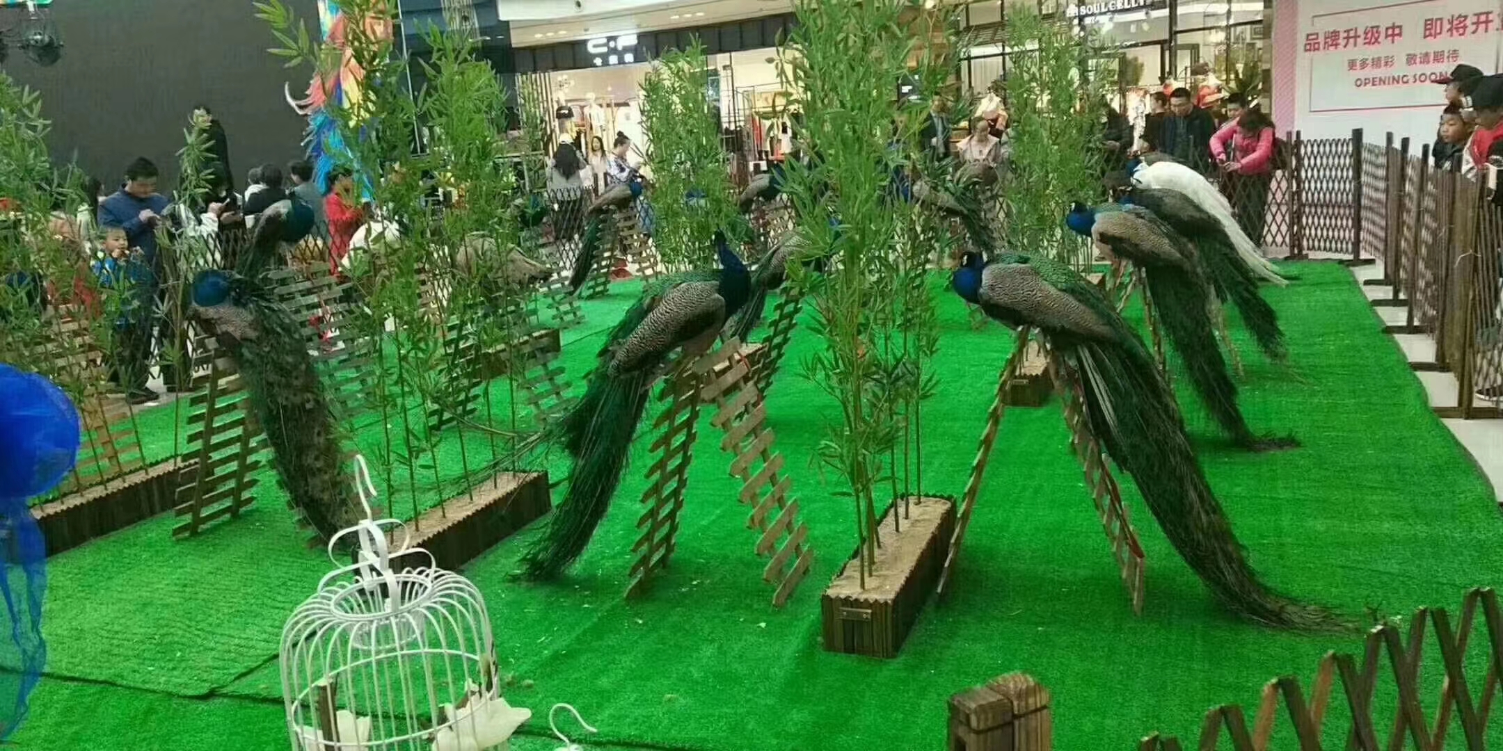 萌宠乐园