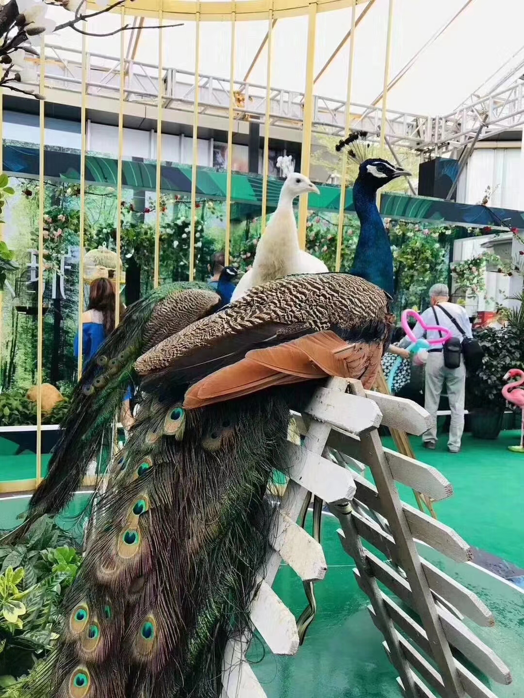 萌宠乐园
