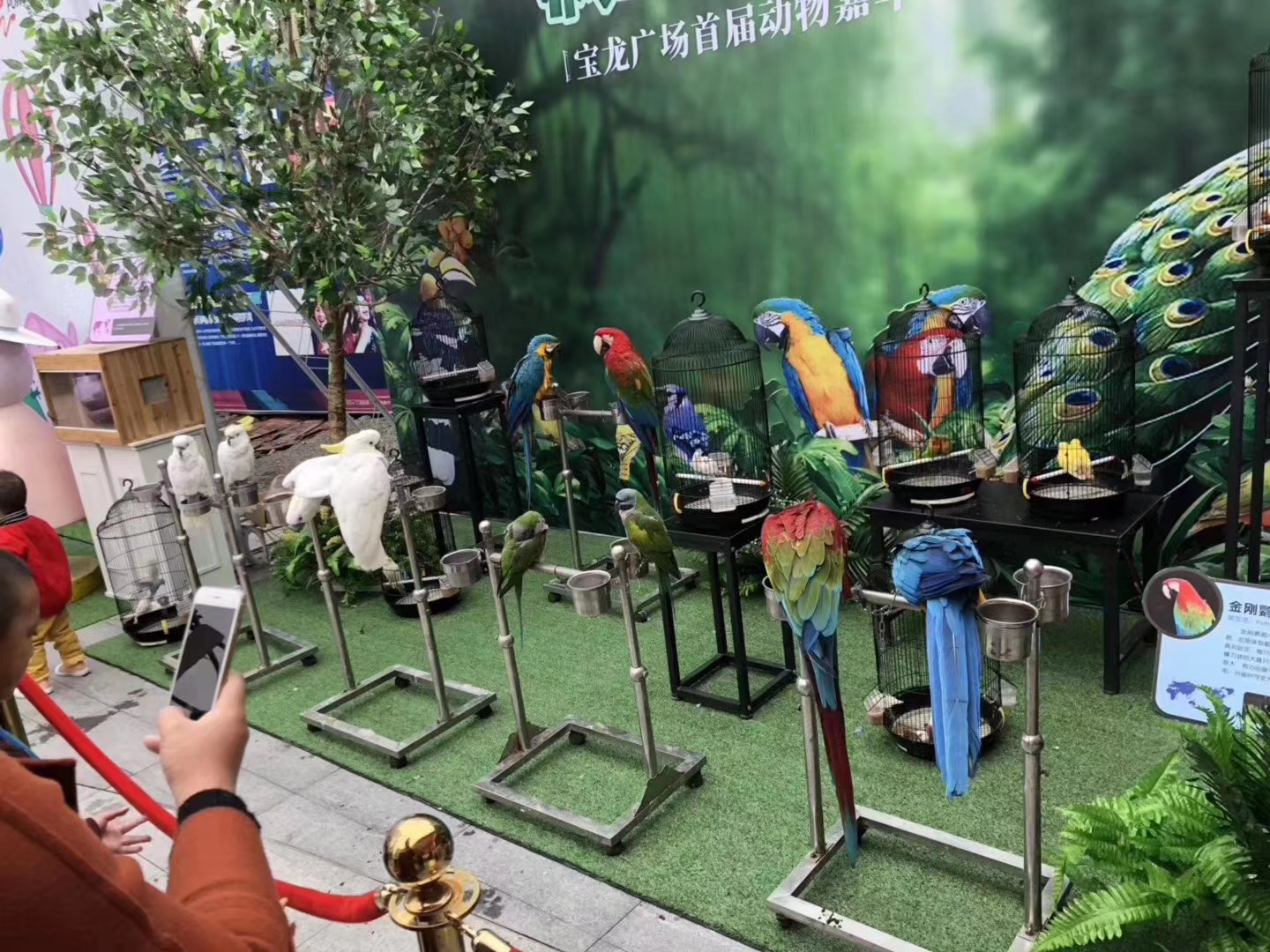 吴桥胜花杂技马戏团