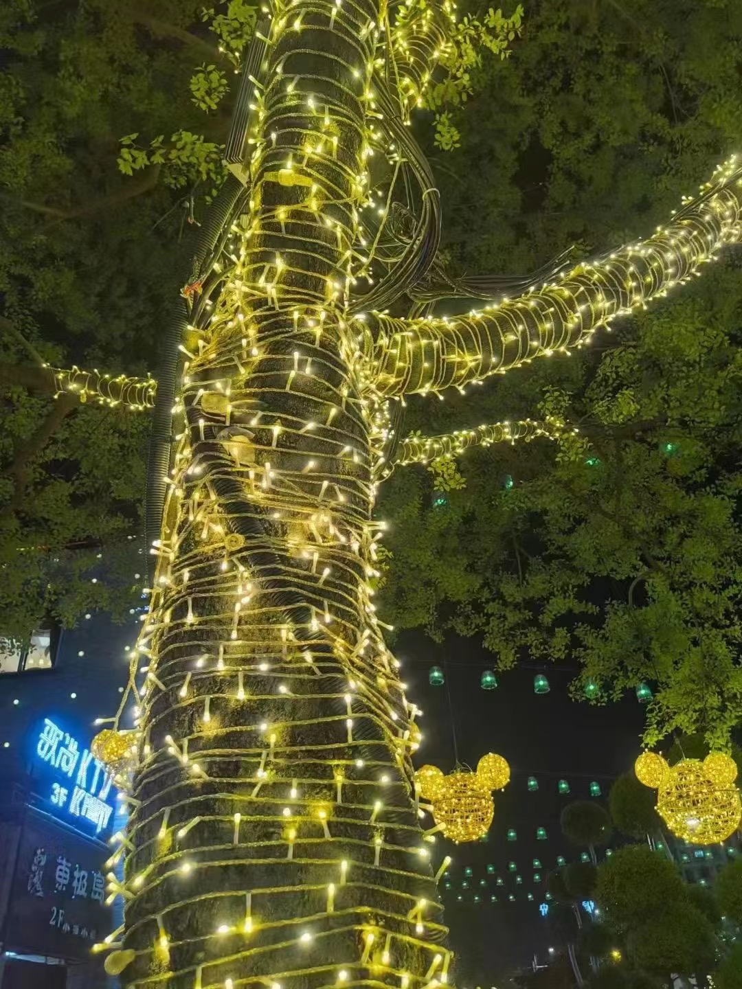 树木亮化，街区亮化