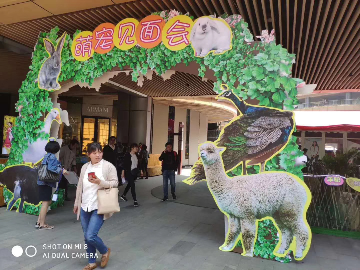 出租出售羊驼矮马梅花鹿孔雀鸵鸟浣熊租赁