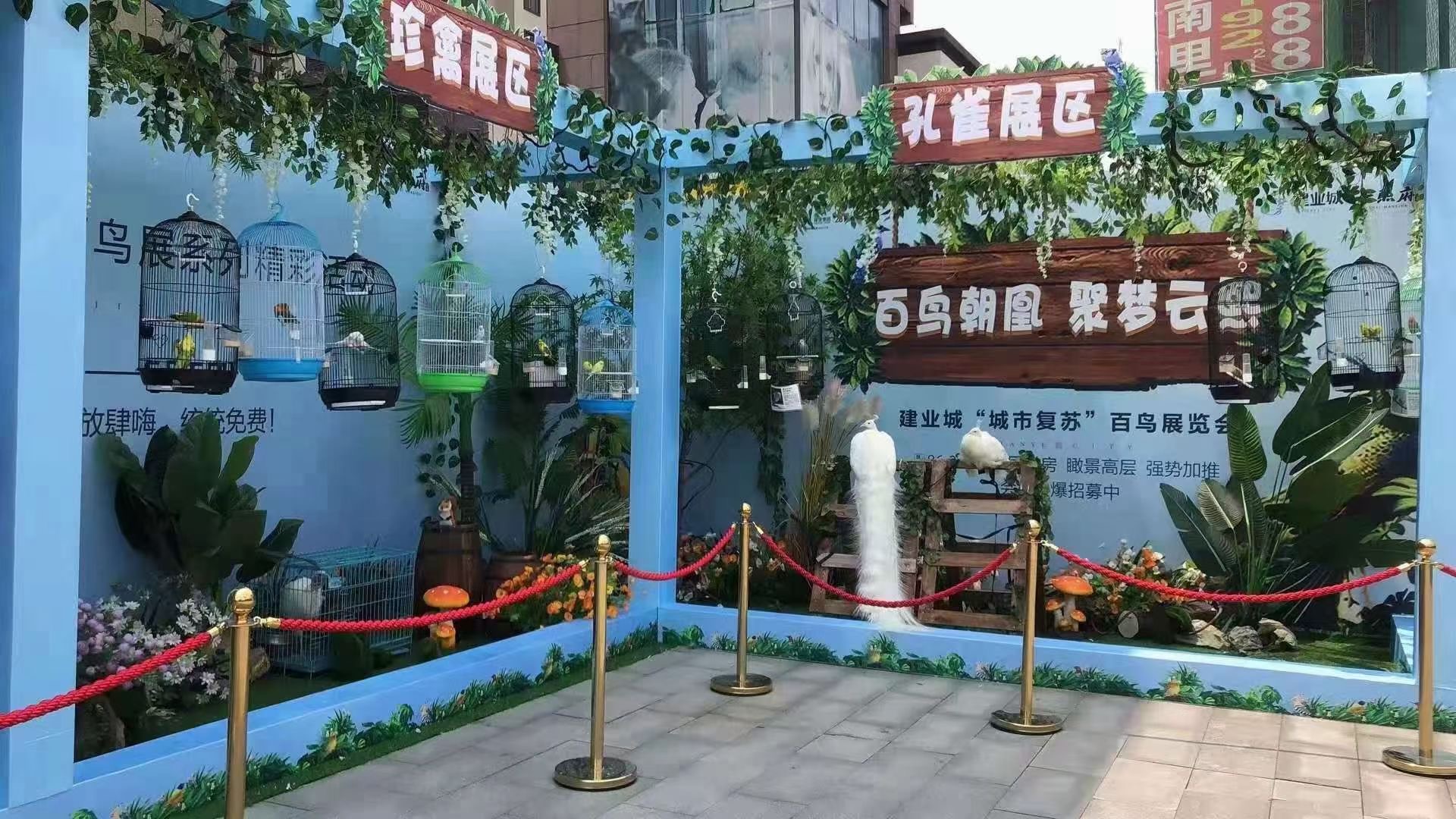 美人鱼表演互动人气火爆全场一手资源