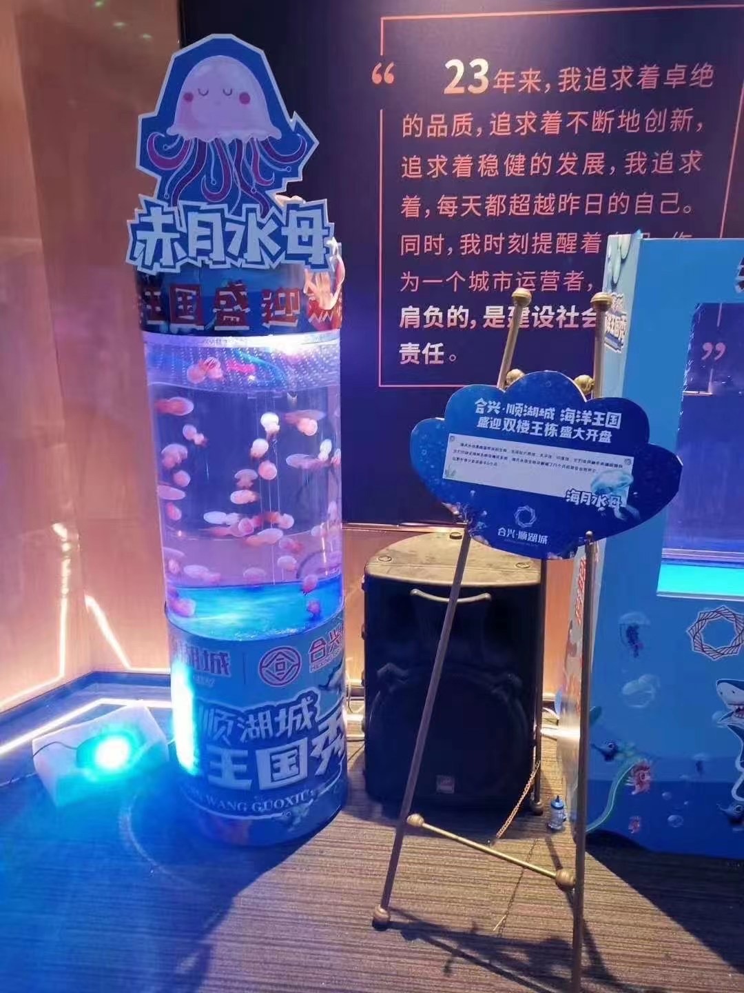 海狮表演七天优惠多多适合商场开业吸引人气