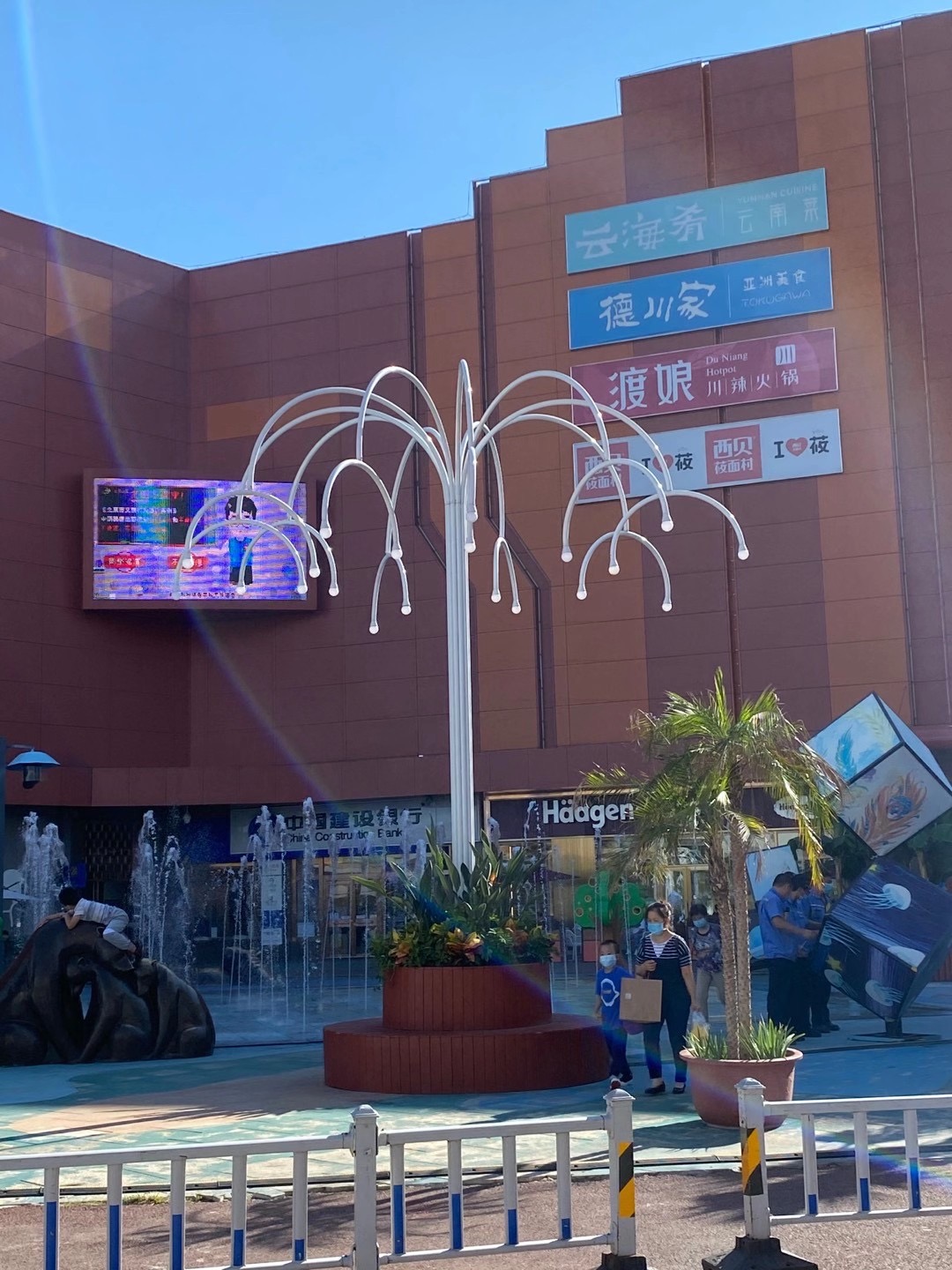 烟泡树 烟雾泡泡树