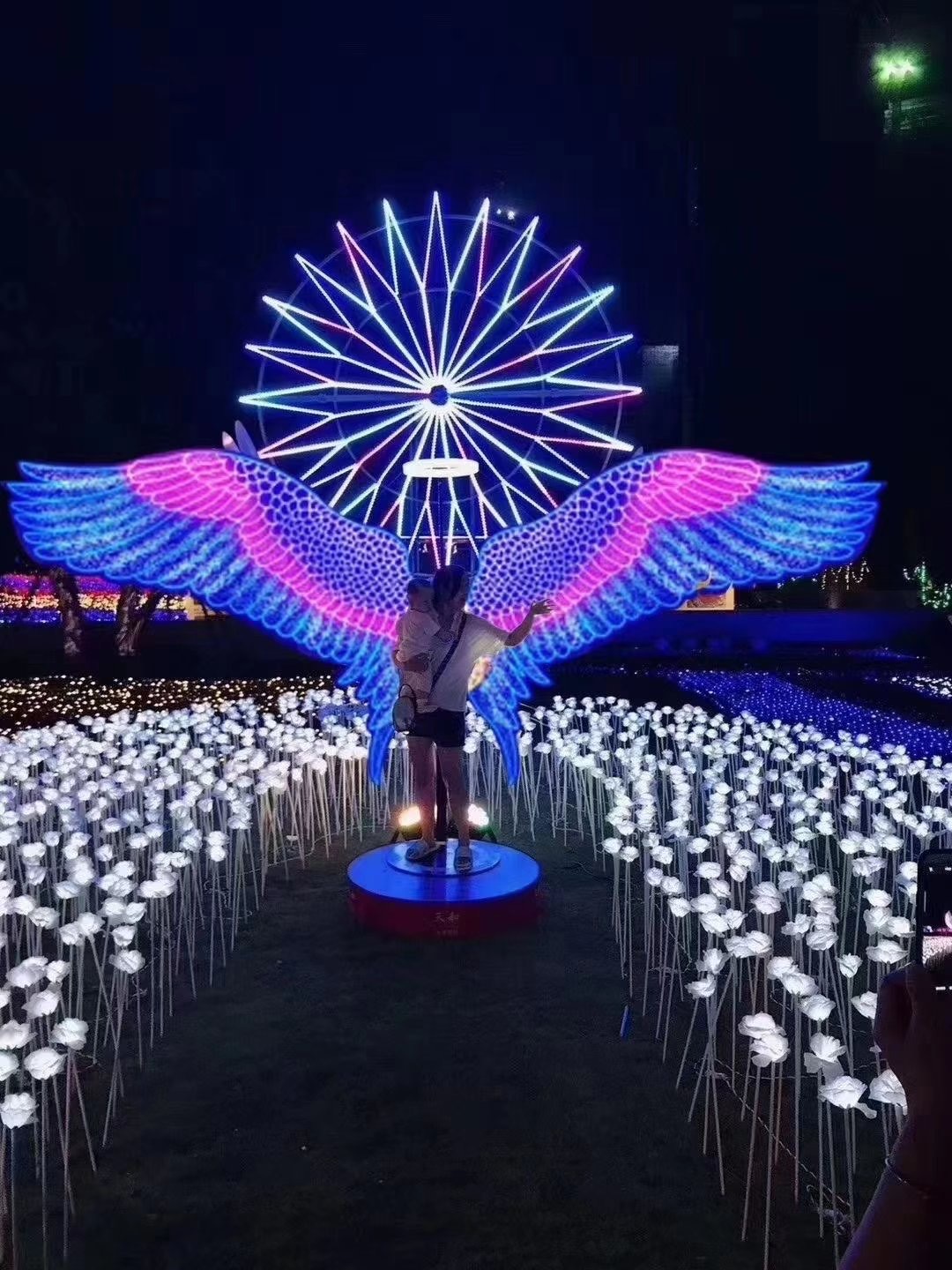 梦幻灯光节