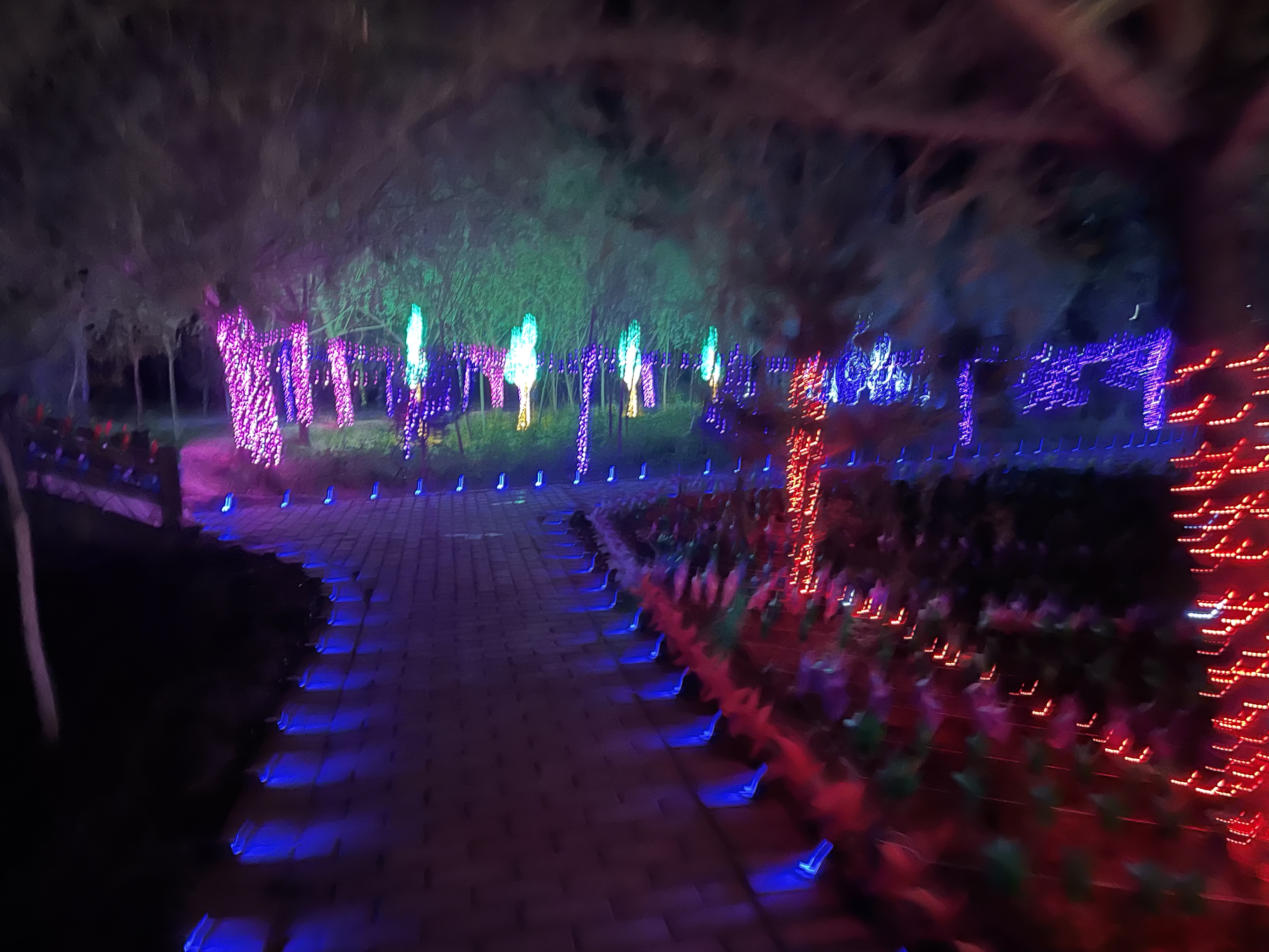 灯光节。恐龙展