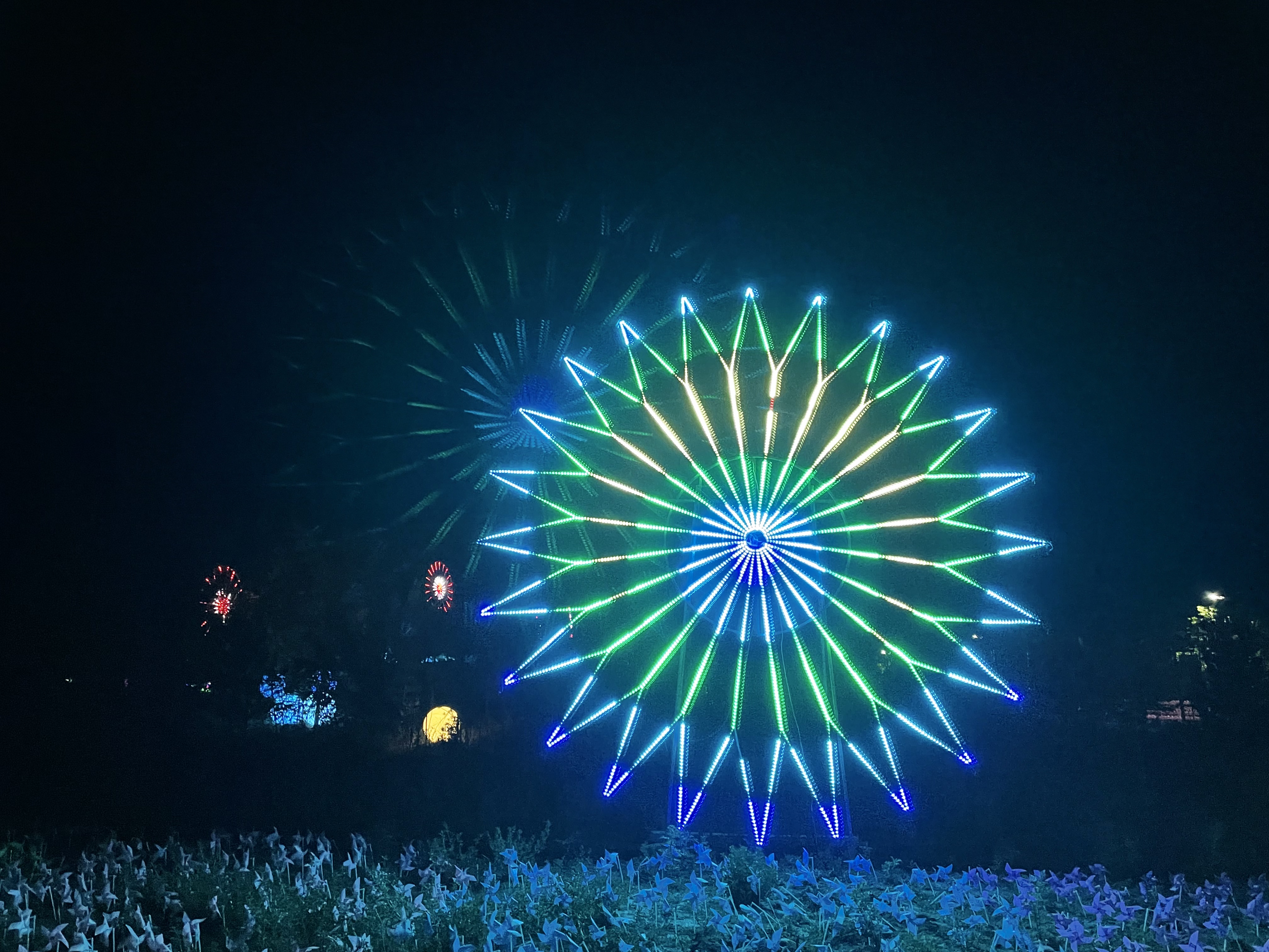 灯光节。恐龙展