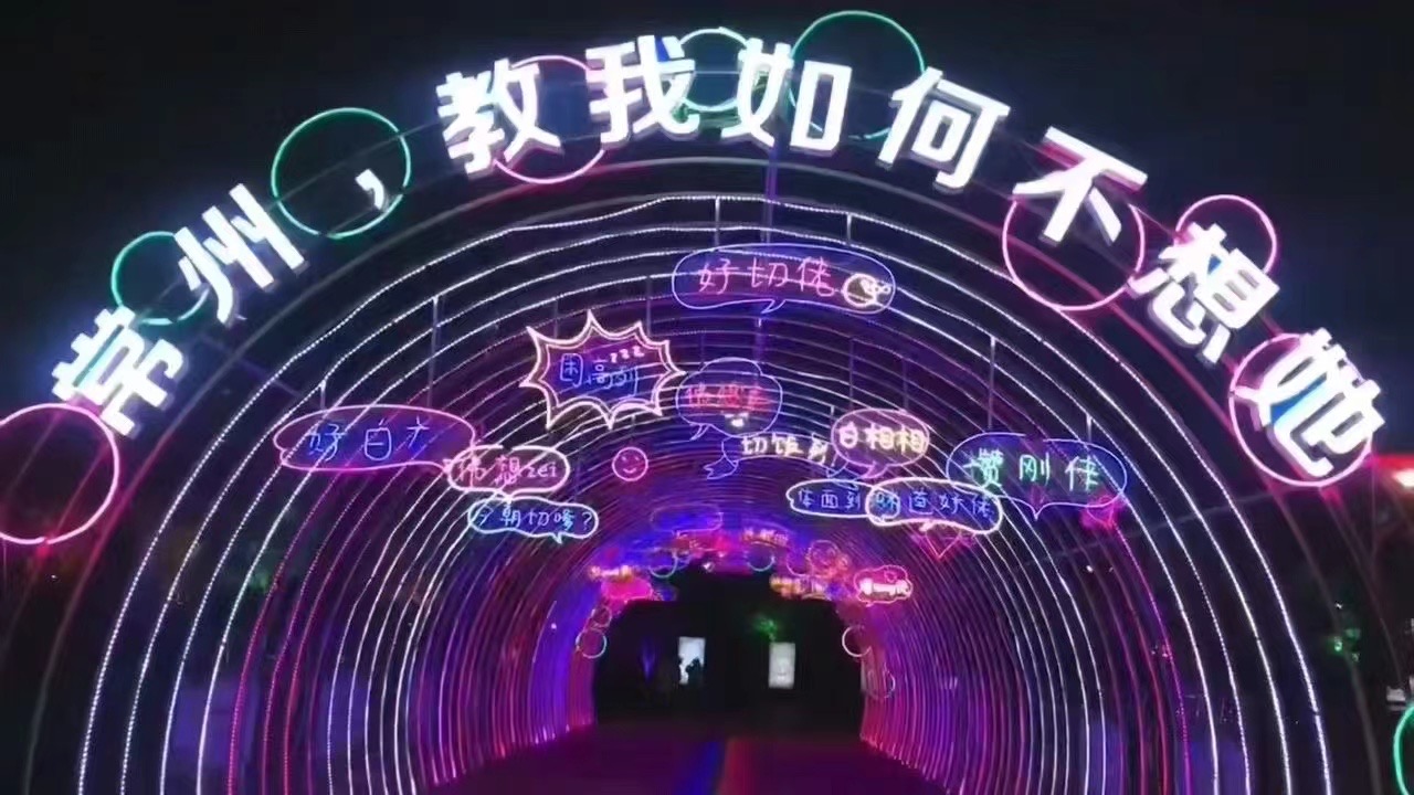 夜游灯光美陈北极光灯光节恐龙展暖场互动道具