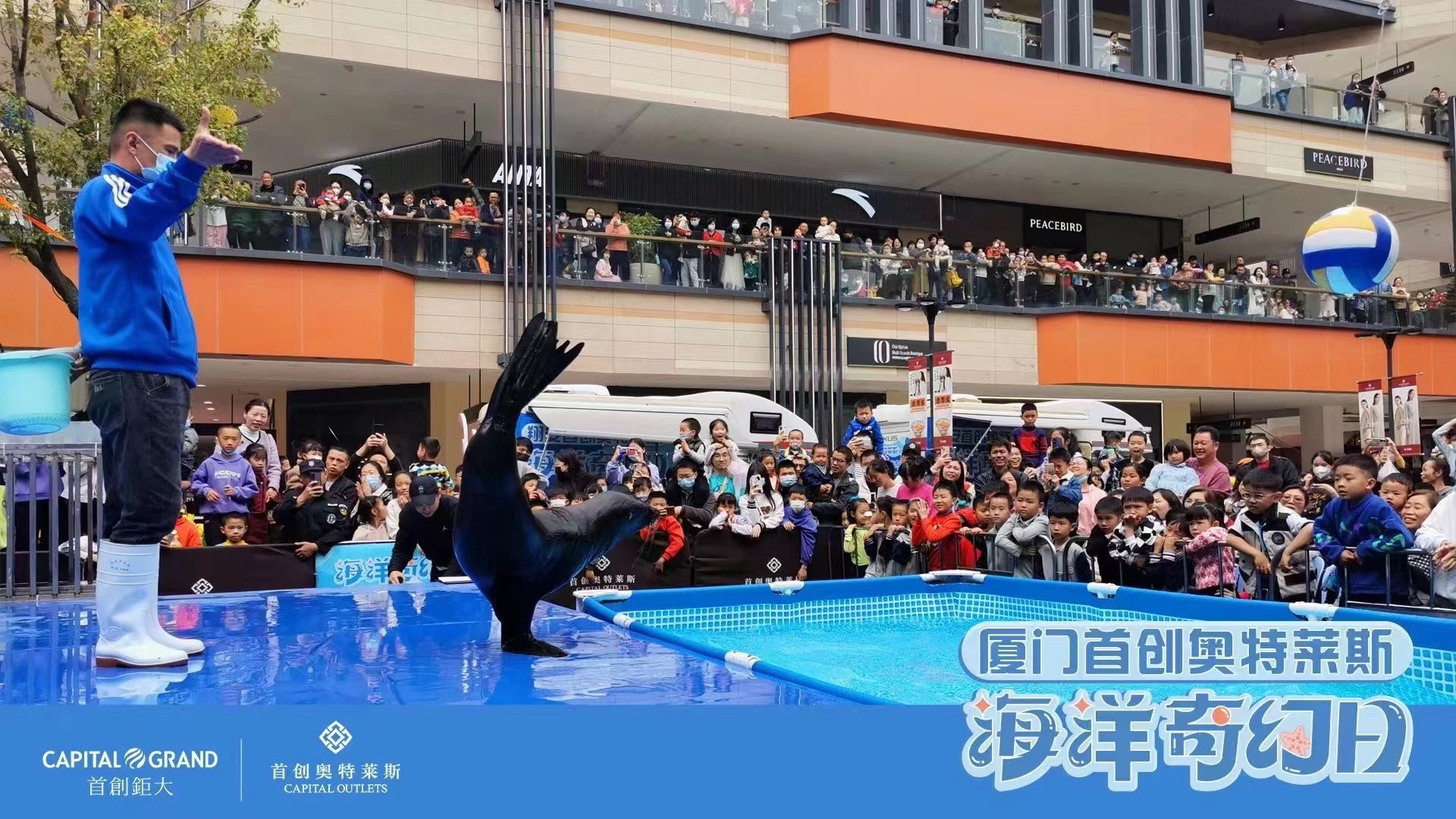 奥特莱斯 厦门 海狮表演秀