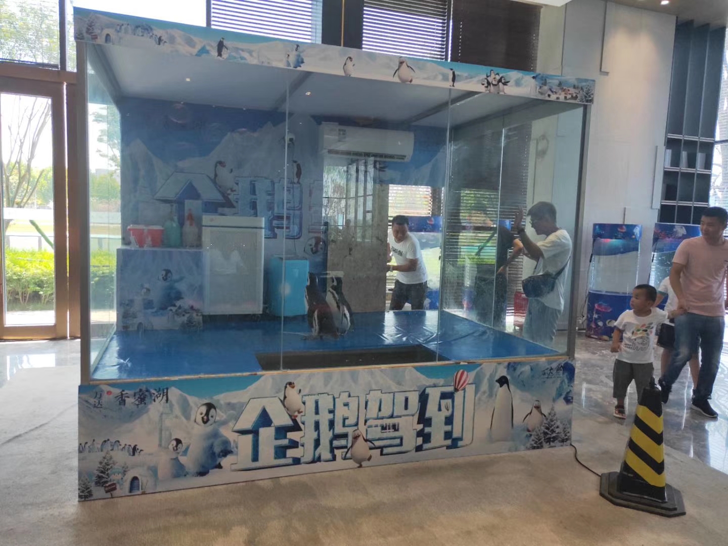 企鹅租赁出租 