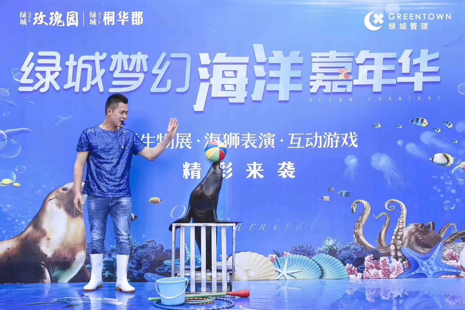 海狮表演出租 地产商场暖场活动