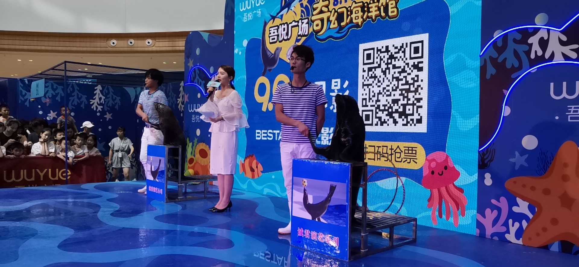 海狮表演出租 地产商场暖场活动