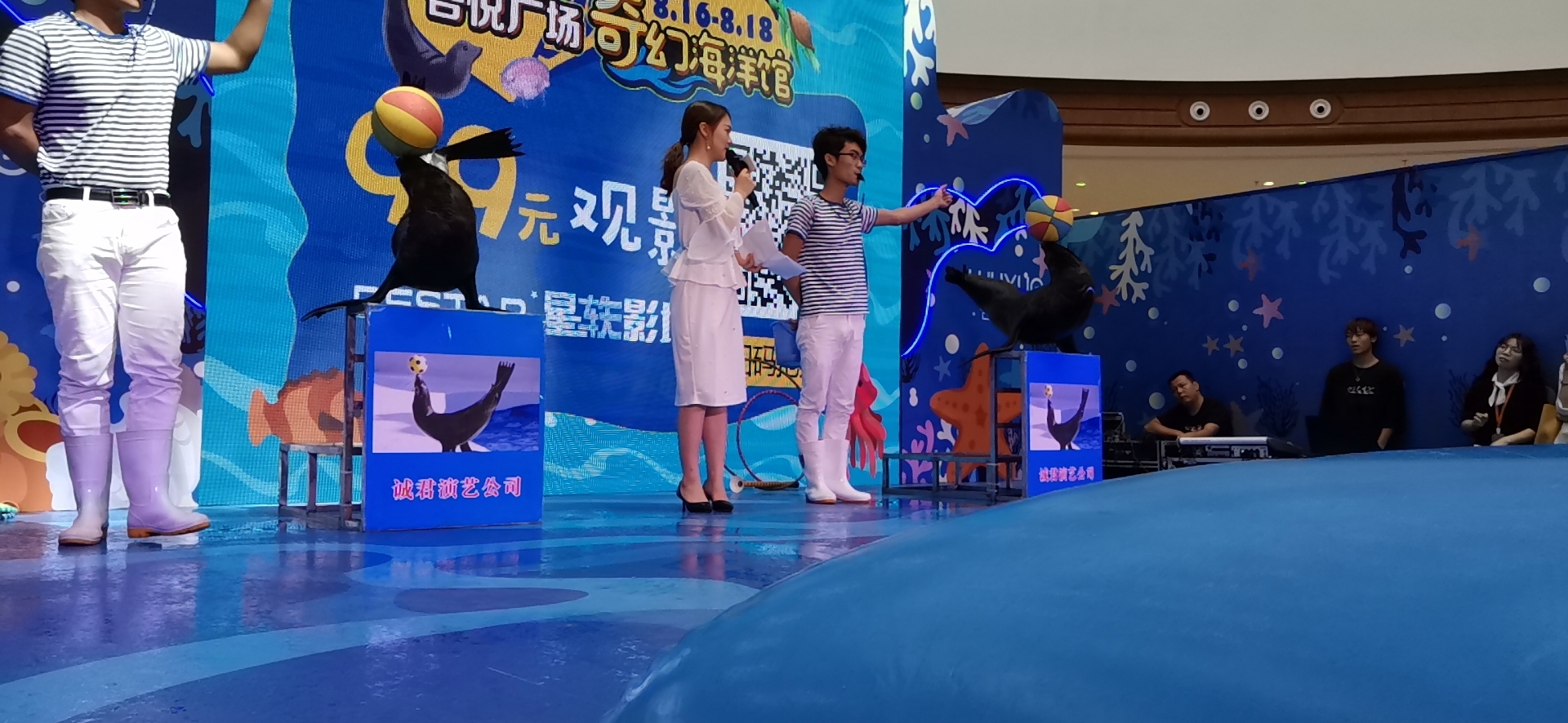 海狮表演出租 地产商场暖场活动