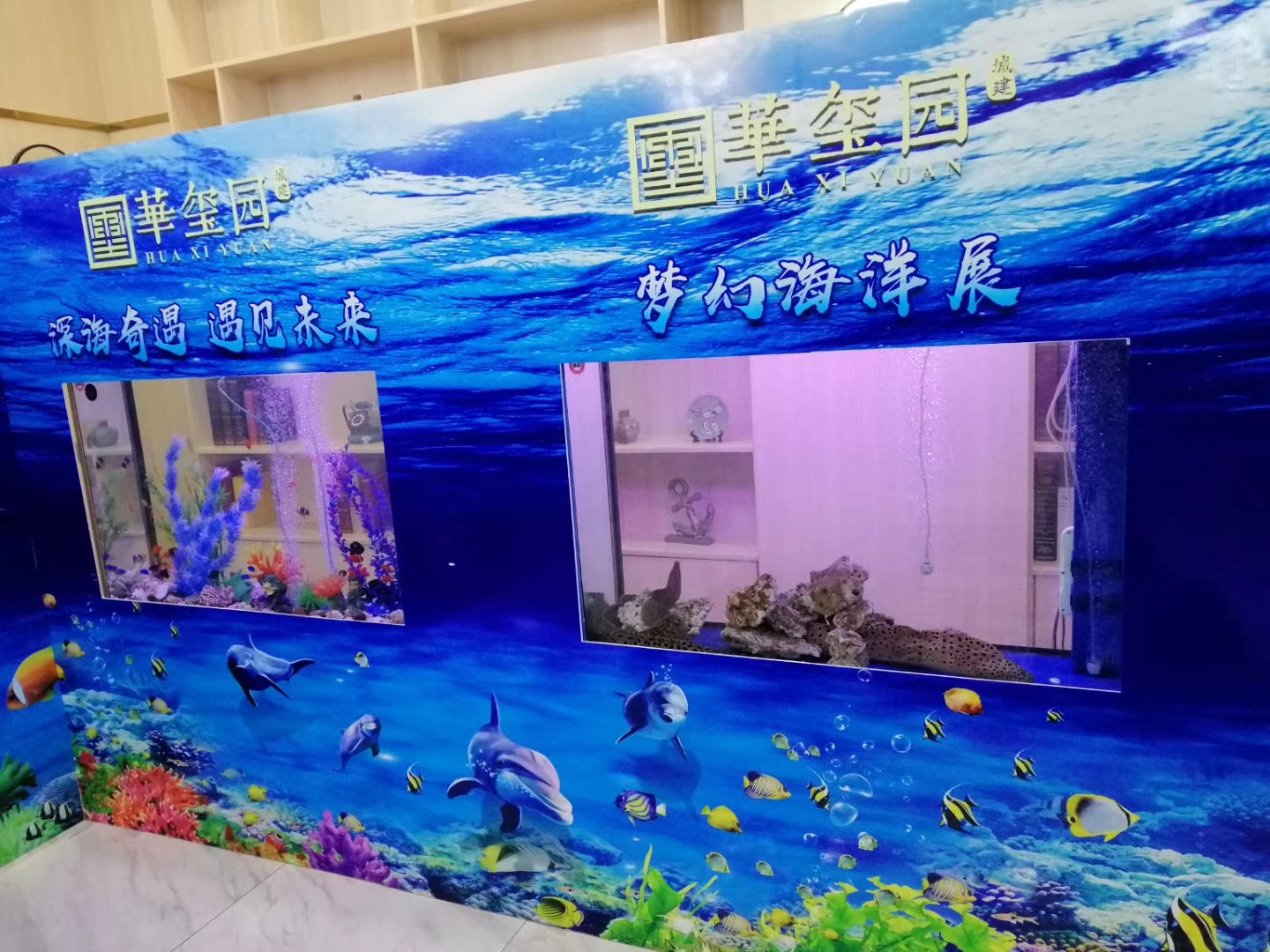 海洋生物展出租 奇幻海洋生物鱼缸展览暖场