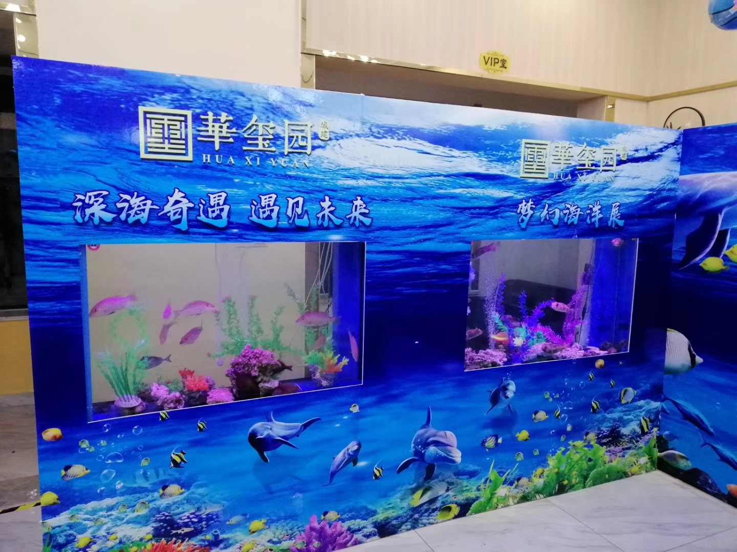 海洋生物展出租 奇幻海洋生物鱼缸展览暖场