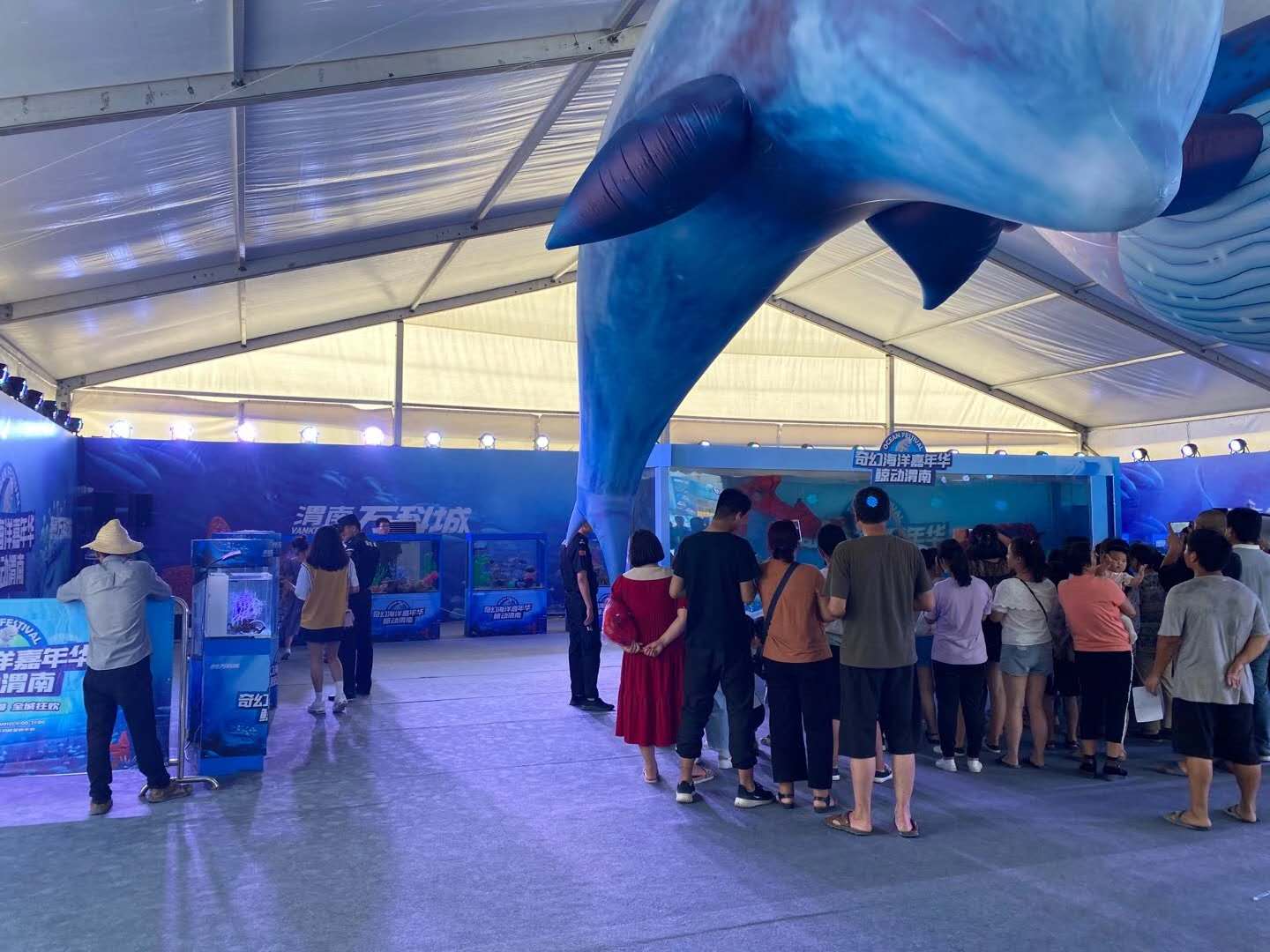海洋生物展出租 奇幻海洋生物鱼缸展览暖场