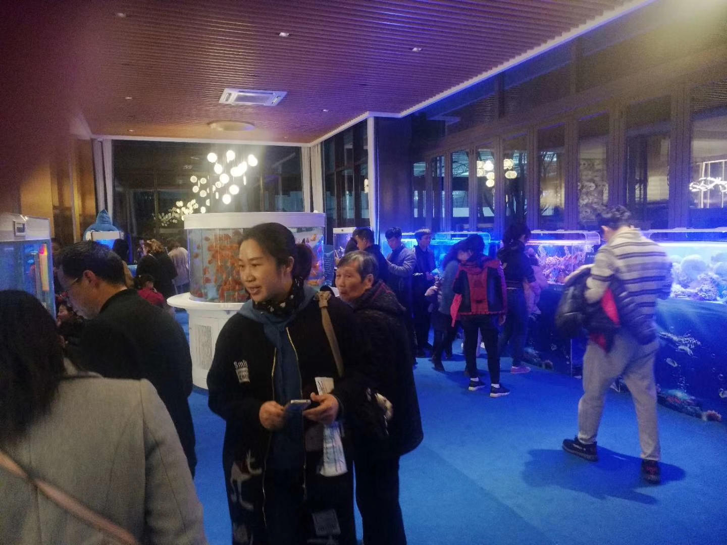 海洋生物展出租 奇幻海洋生物鱼缸展览暖场