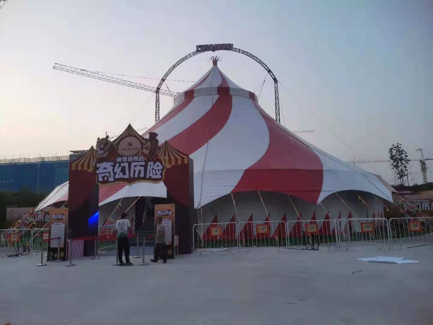 马戏团表演出租暖场 动物演出团队