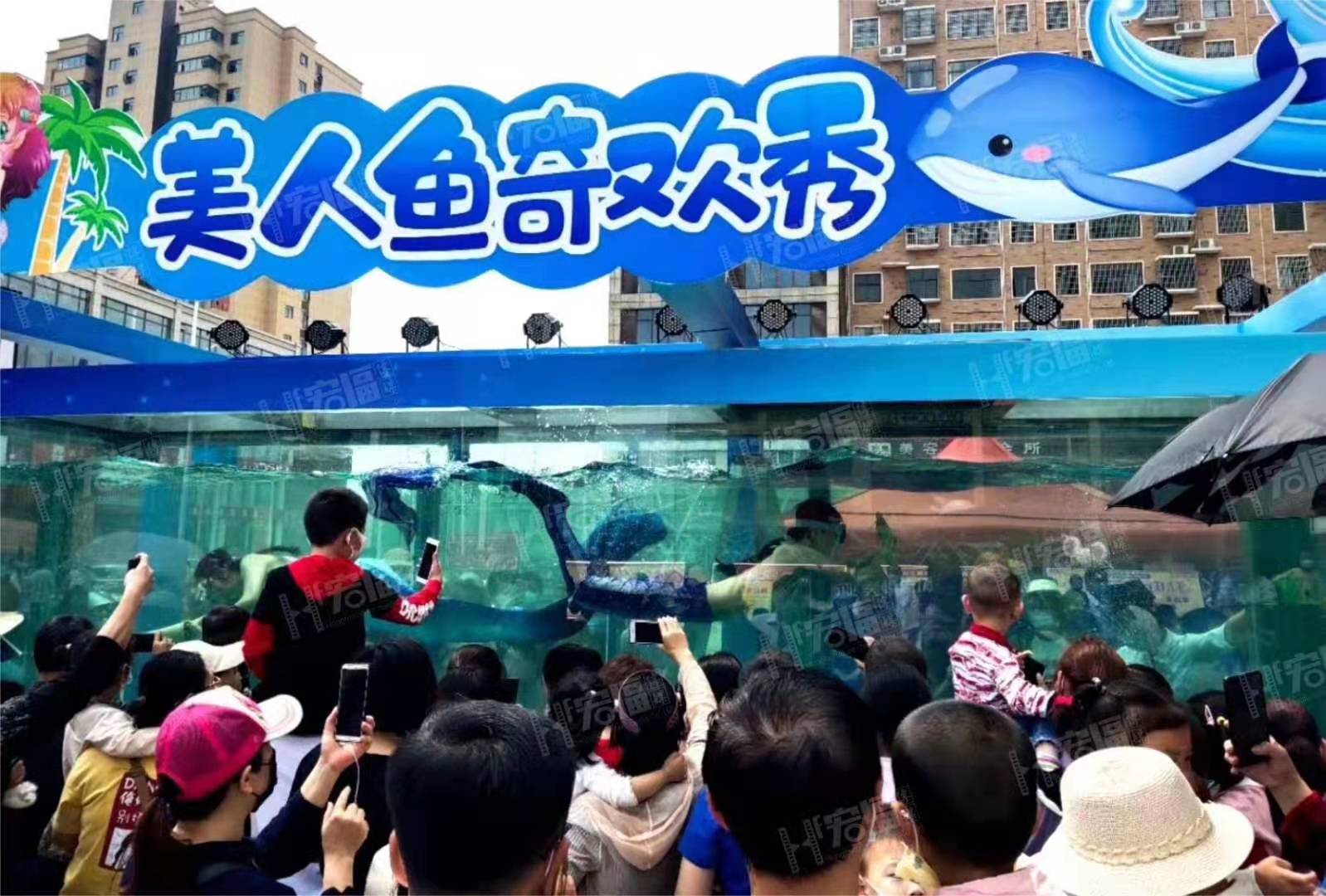 美人鱼表演出租暖场 商场地产开盘庆典活动