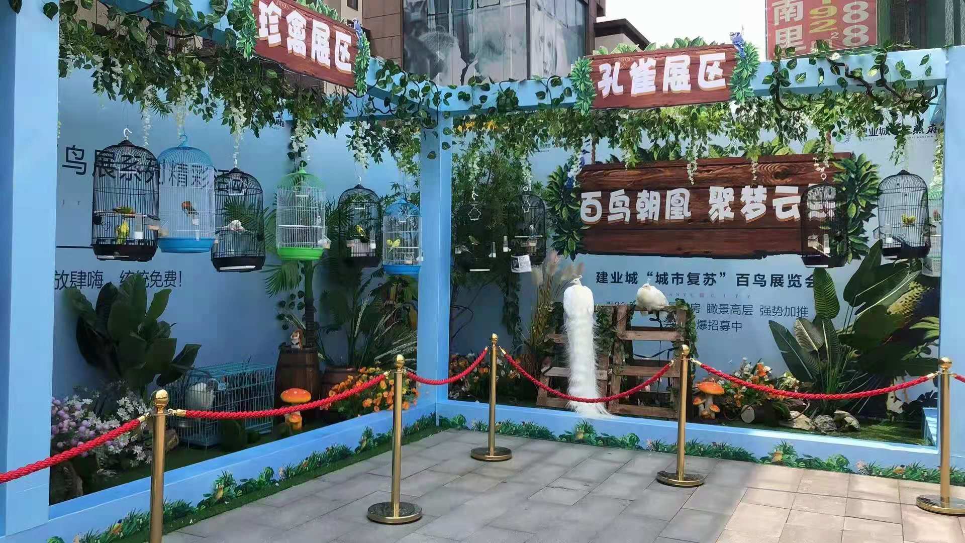 萌宠动物展出租 羊驼租赁暖场