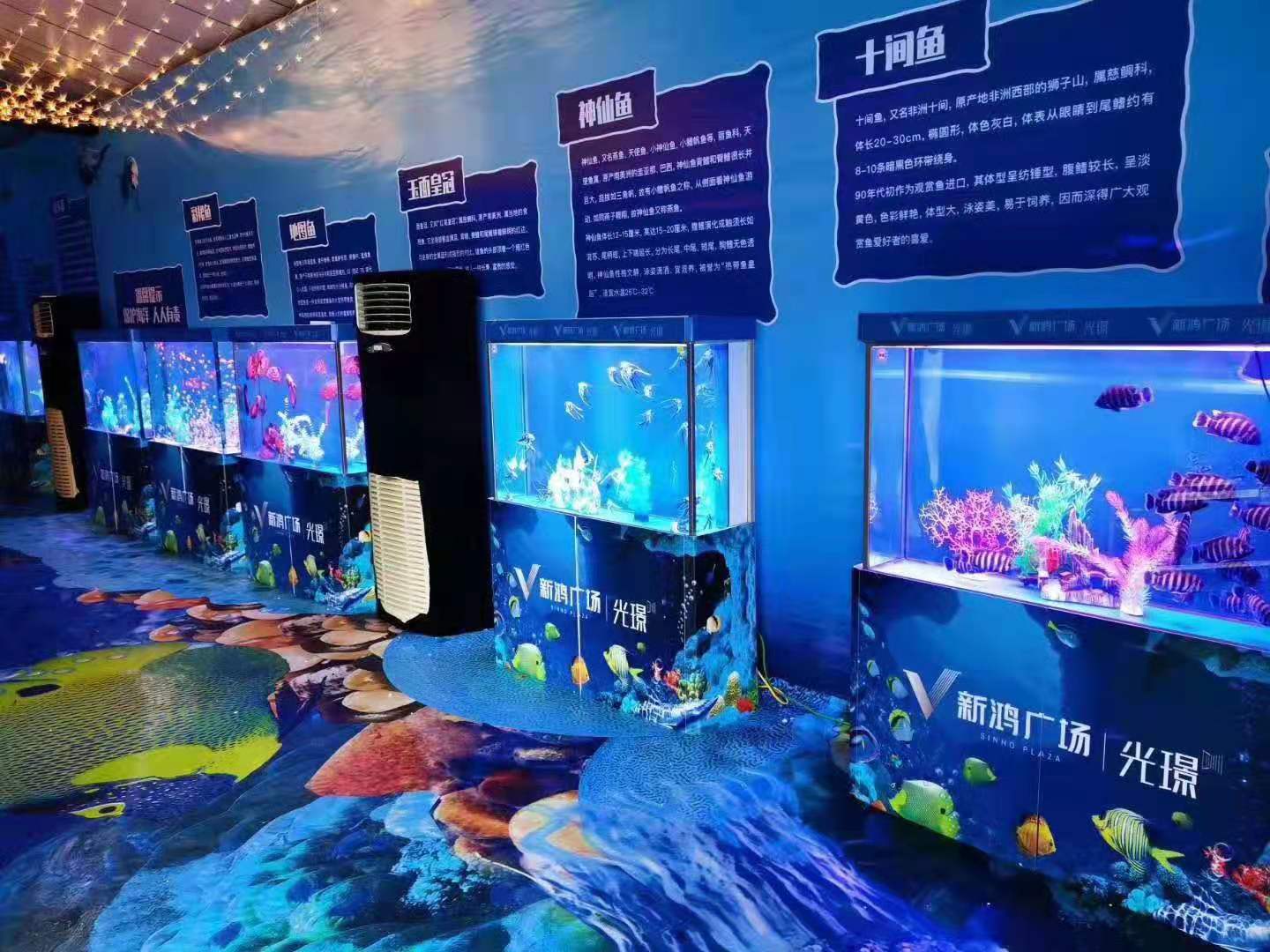 海洋展出租 奇幻海洋生物鱼缸展览租赁