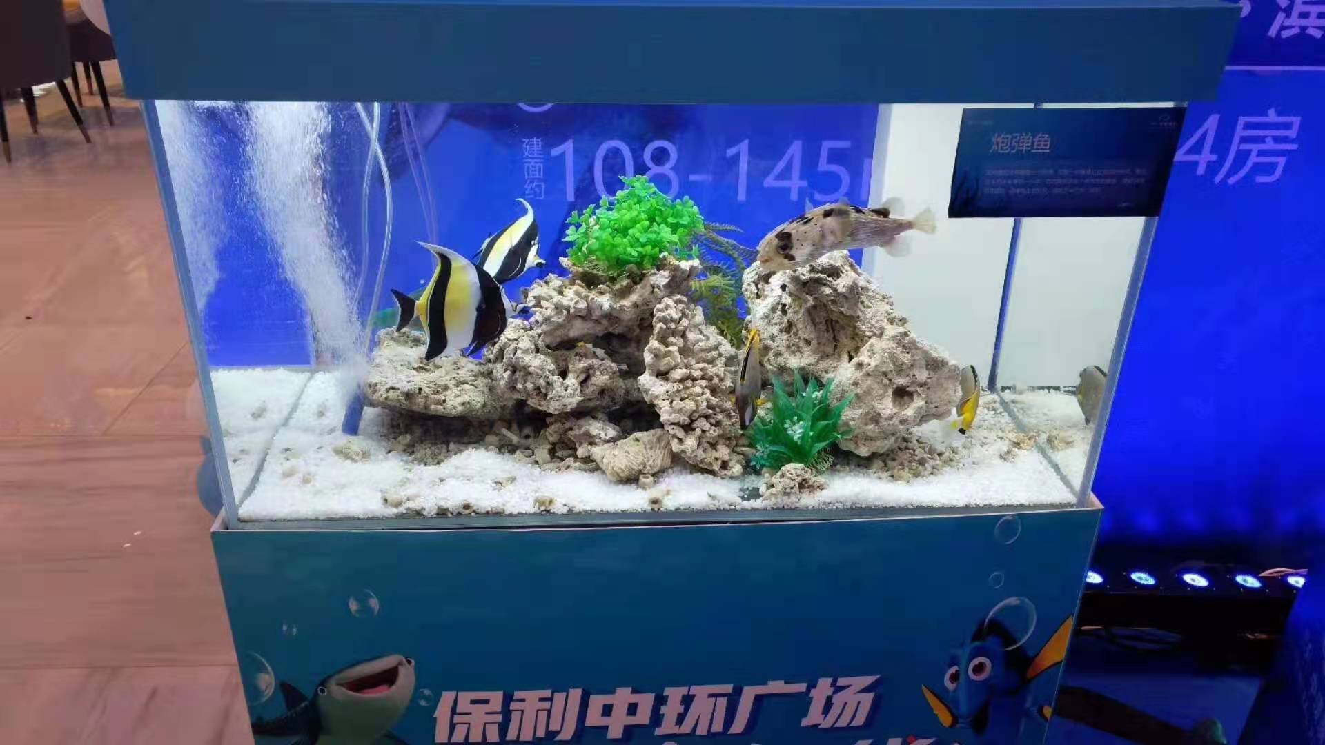 海洋展出租 奇幻海洋生物鱼缸展览租赁