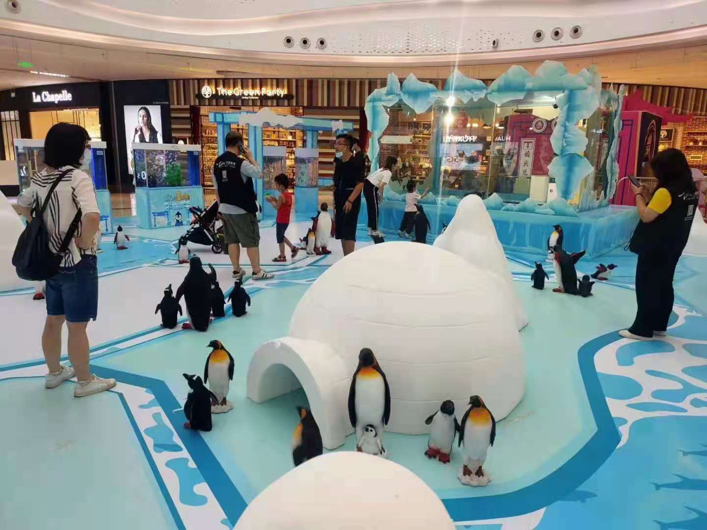 企鹅租赁出租 活体企鹅展览暖场 地产开盘商场周年庆活动