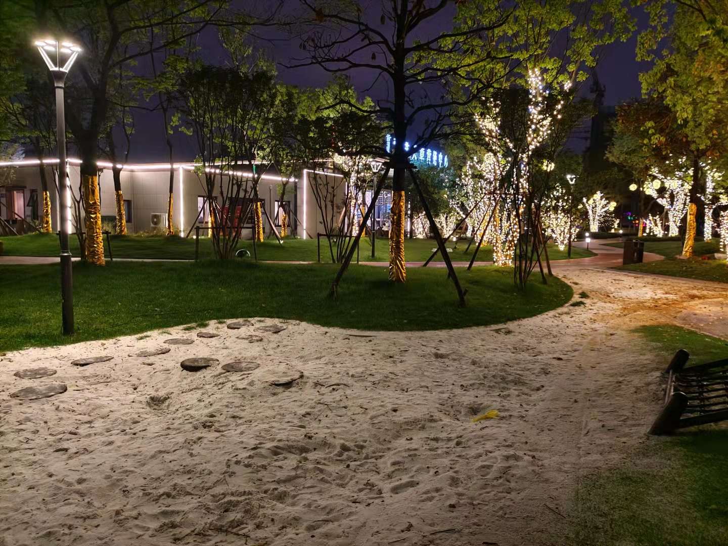 树木亮化楼体轮廓灯道路草坪亮化