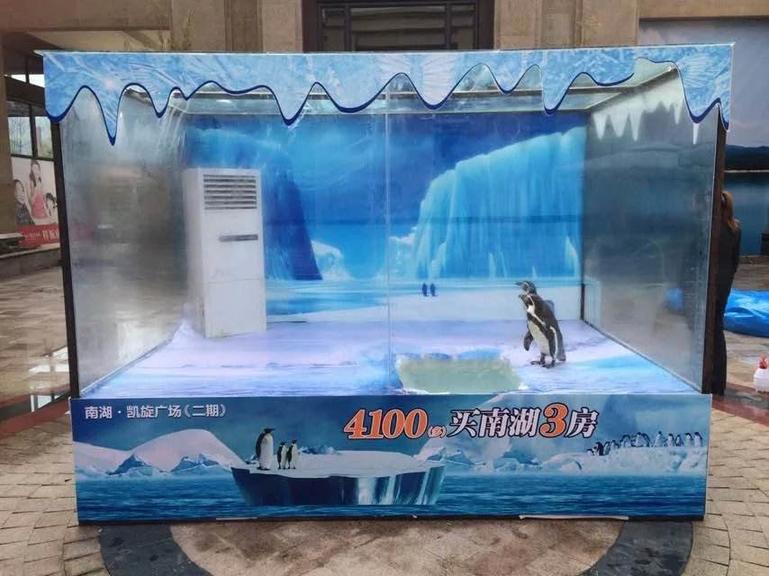 冰雪呆萌企鹅展览常年提供