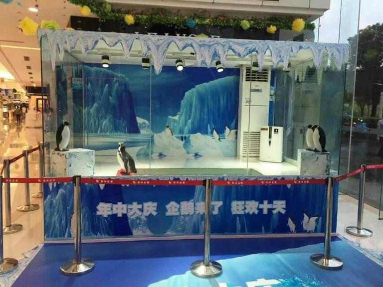 冰雪呆萌企鹅展览常年提供
