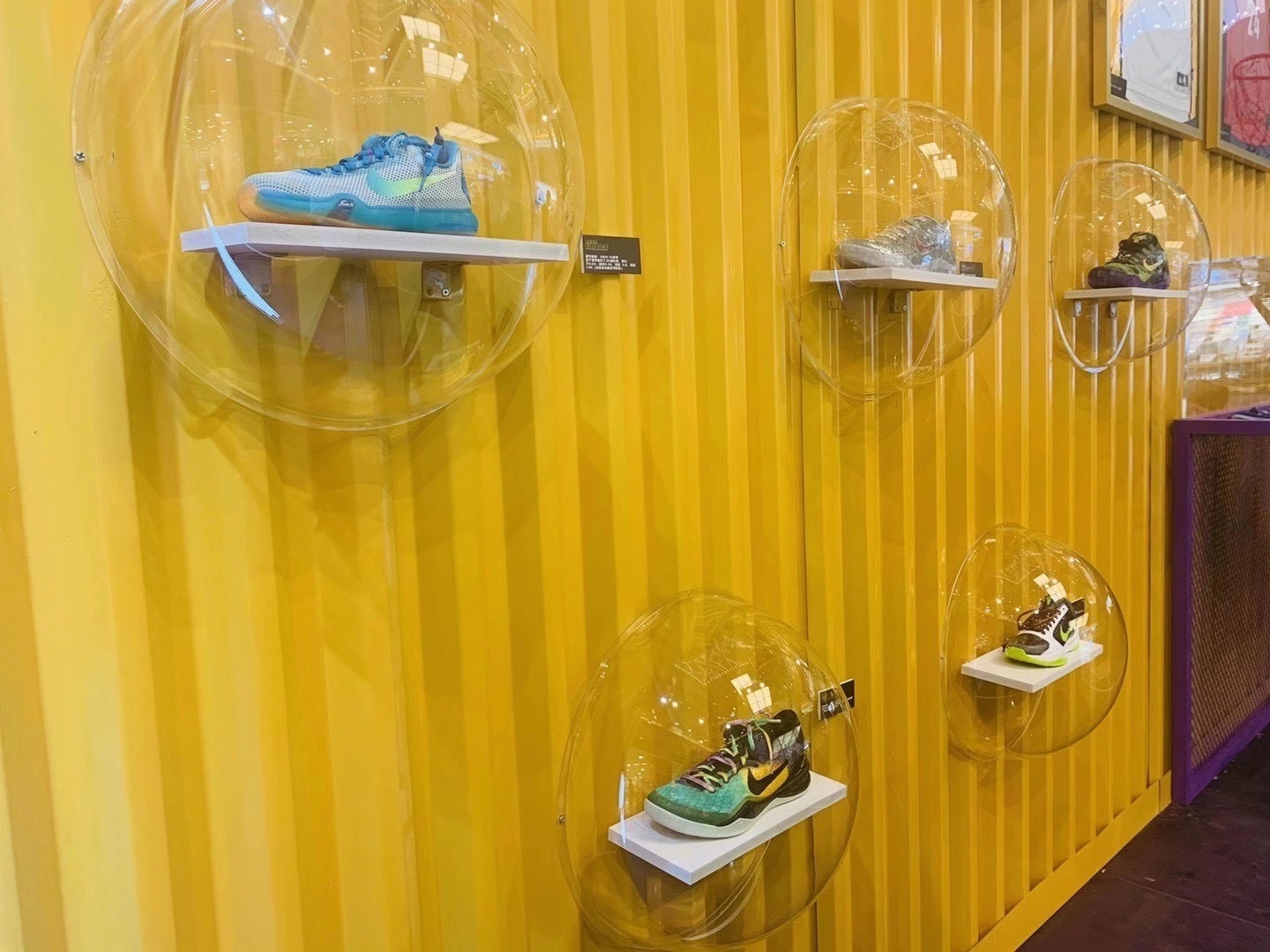 NBA球星亲笔签名球衣球鞋展览 科比 詹姆斯等签名用品展览