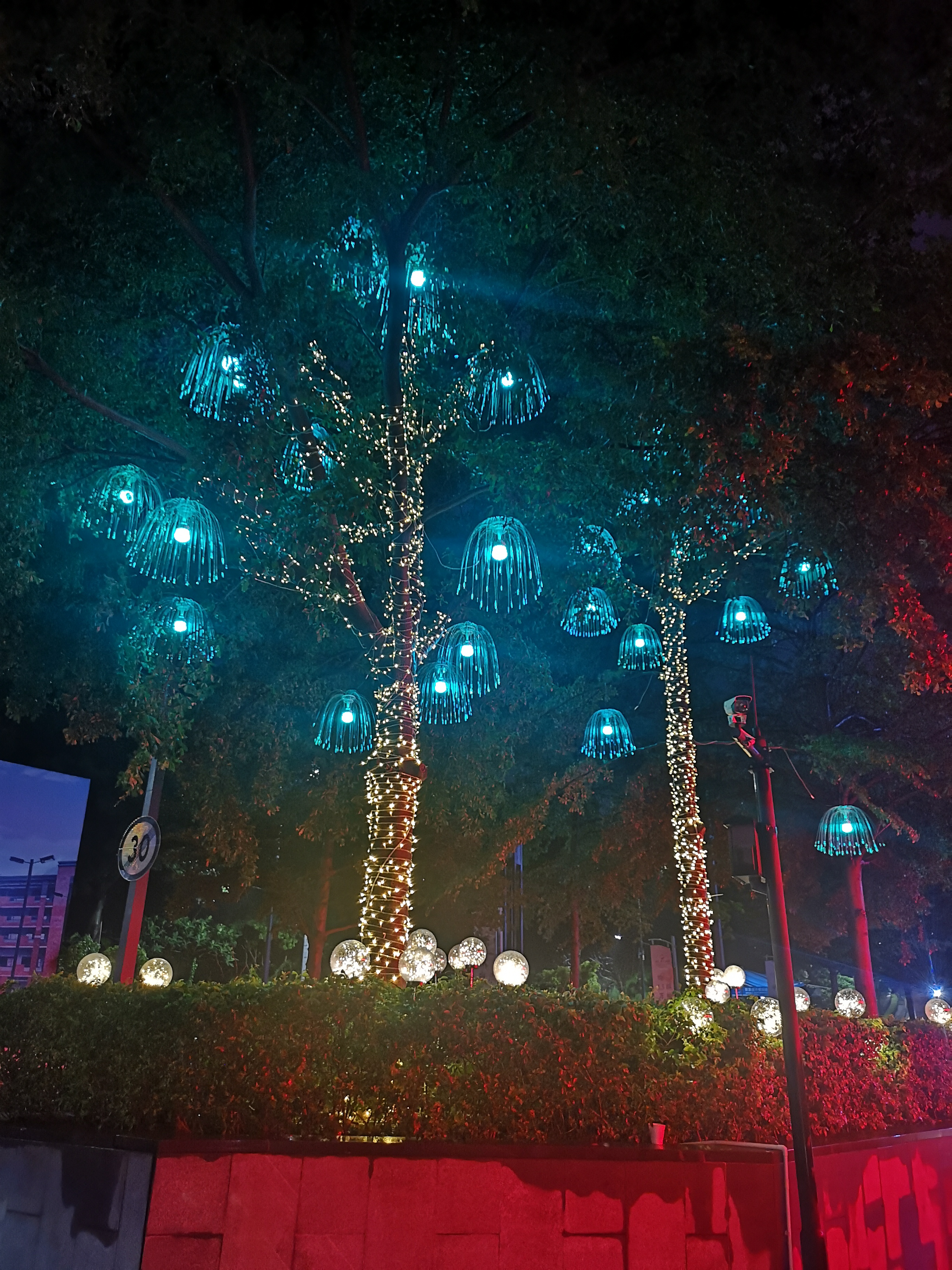 树木亮化氛围包装灯光节