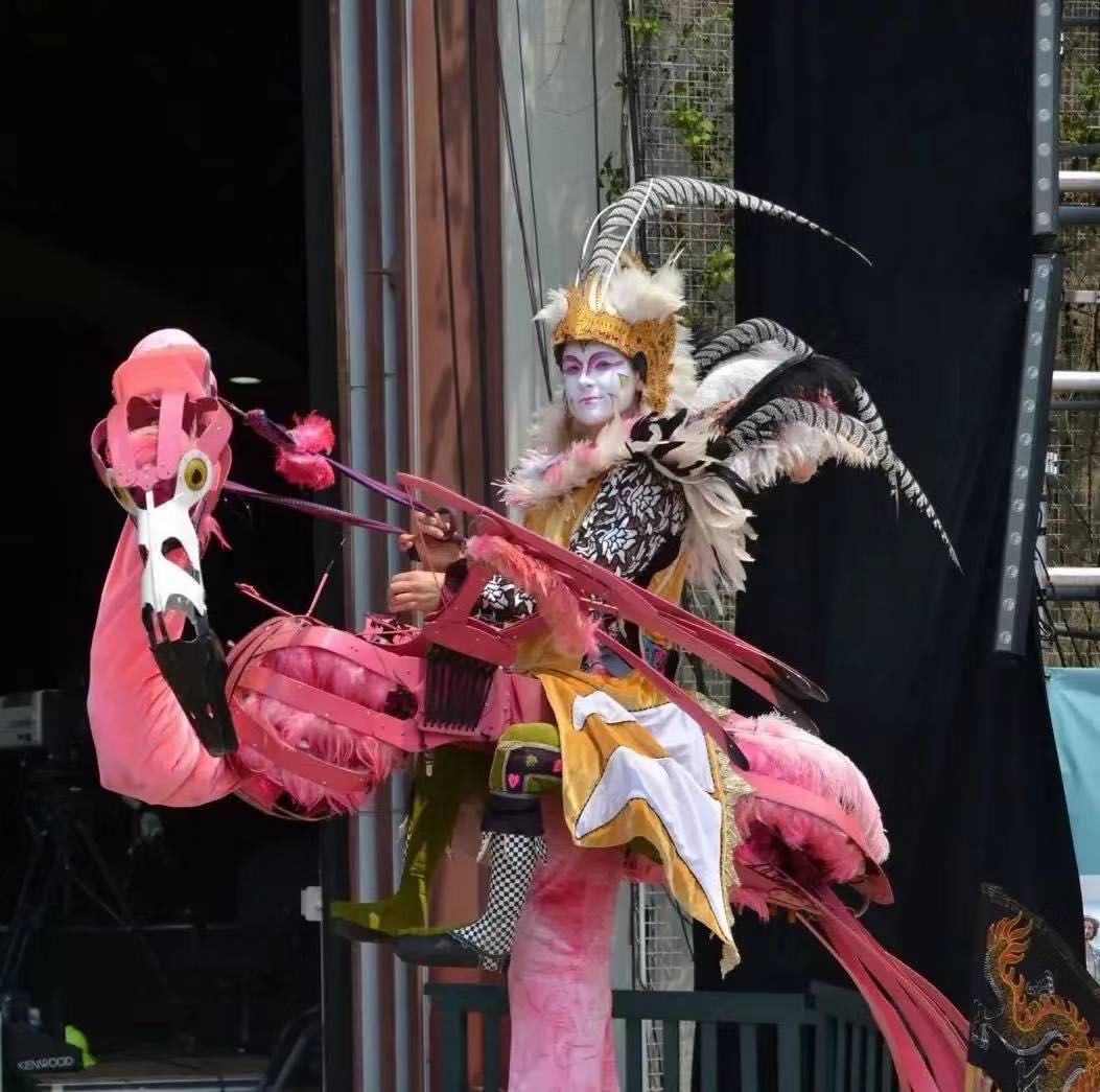 火烈神鸟
