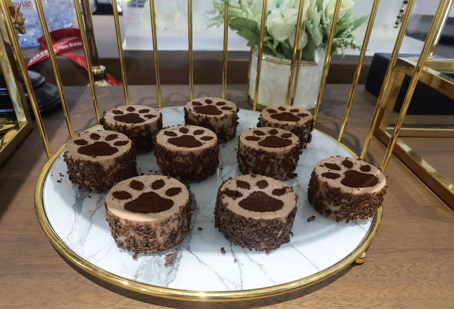 百龄坛明星发布会
