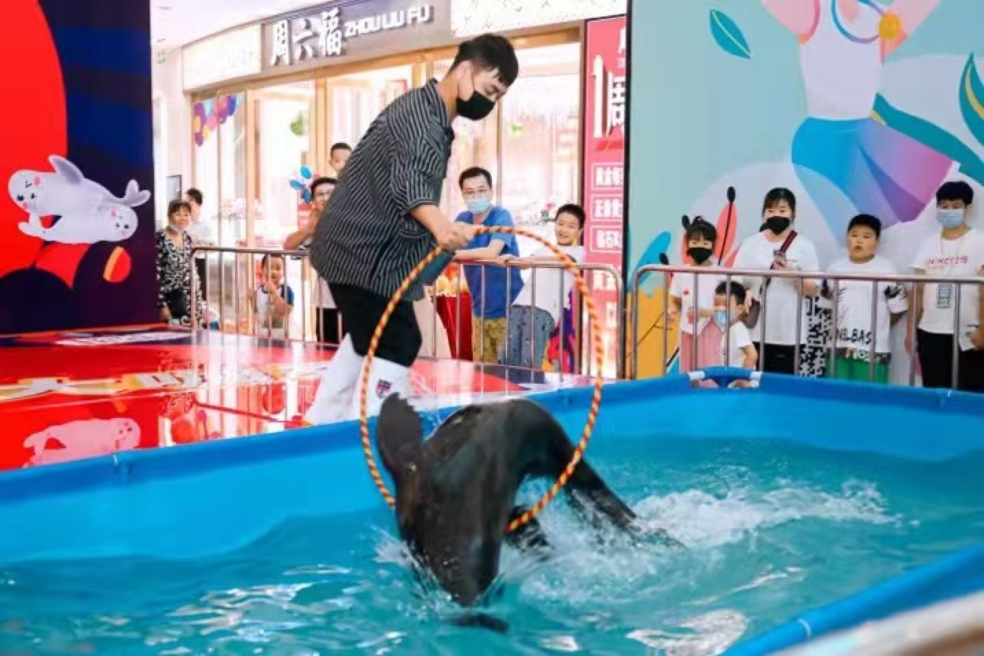 海狮表演出租巡场