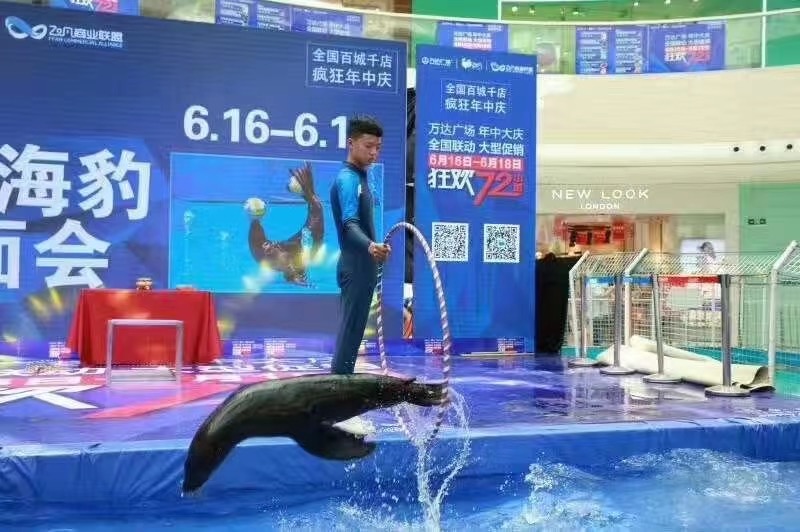 海狮表演出租巡场