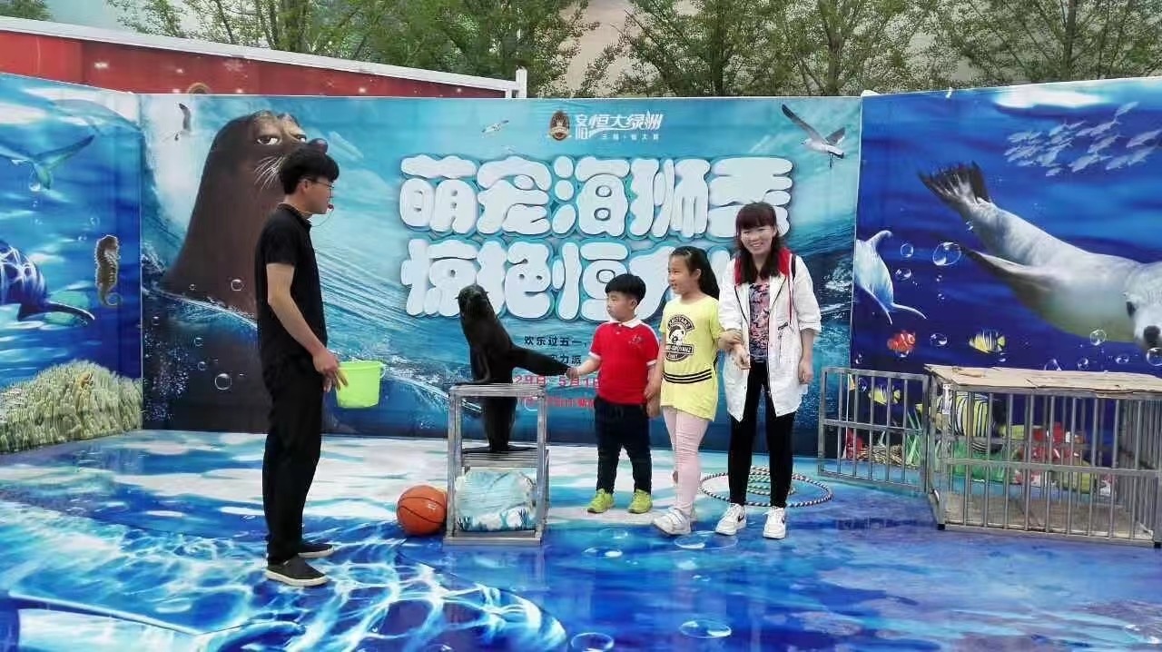 海狮表演出租巡场