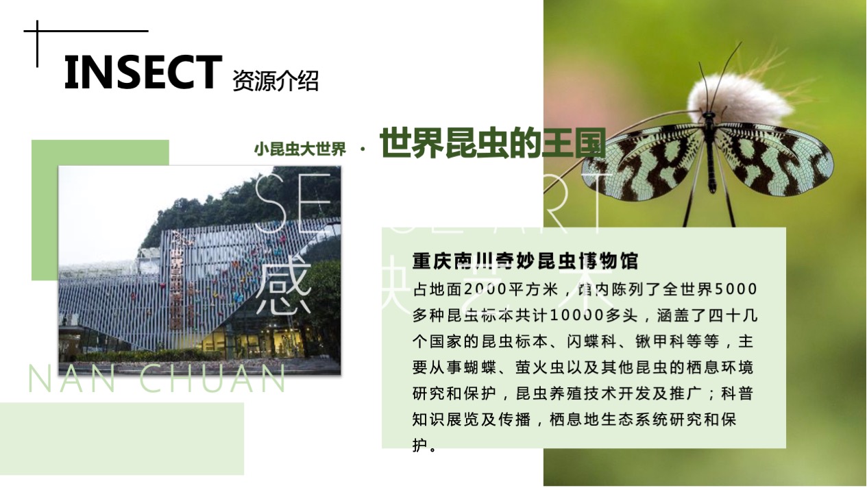 【虫语森灵博物馆】白俄罗斯插画艺术家主题IP美陈装置展