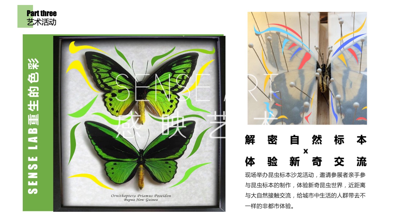 【虫语森灵博物馆】白俄罗斯插画艺术家主题IP美陈装置展