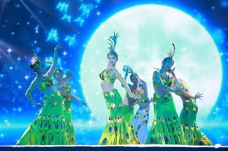 芭蕾、现代、当代、古典、民间、国标等多舞种节目表演