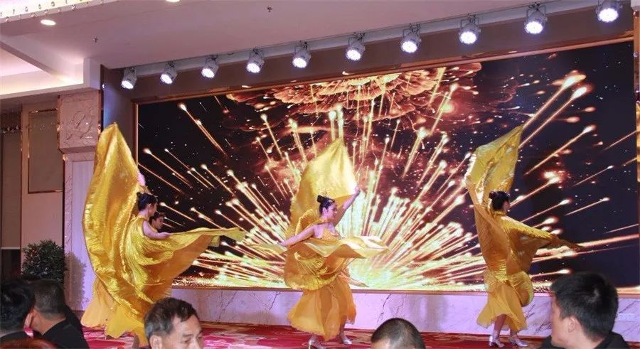 芭蕾、现代、当代、古典、民间、国标等多舞种节目表演