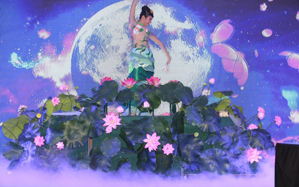 民族民间舞类：蒙族、维族、藏族、傣族、荷花舞等节目表演