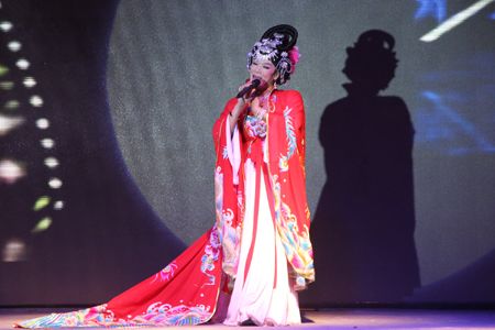 曲艺类：京剧、昆曲、变脸、相声、二人转等