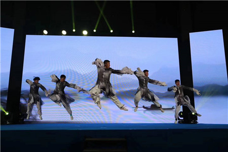 武术类表演：旗舞、墨武、少林十八铜人等