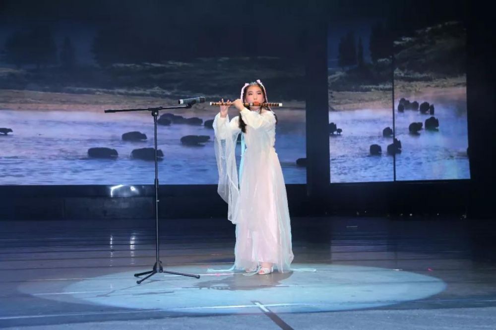 形式多样的器乐演奏类节目