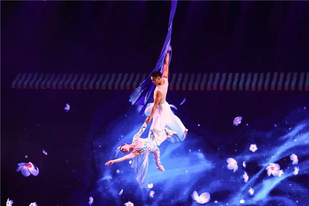 杂技类：《肩上芭蕾》、《力量组合》、《柔术》等节目表演