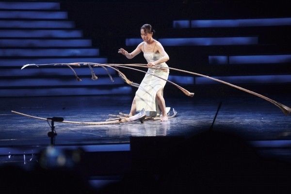 杂技类：《肩上芭蕾》、《力量组合》、《柔术》等节目表演